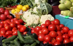 Аграрии двух областей представят более 650 тонн продукции на ярмарке в Астане