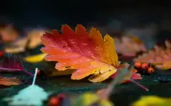 Как пережить осеннюю хандру