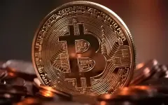 Как поменялись цены на популярные криптовалюты 13 сентября