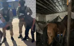 Полицейские задержали скотокрадов на месте преступления в ЗКО