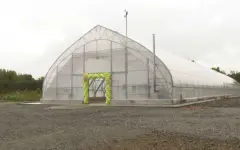 Тепличный комплекс открыли в Акмолинской области