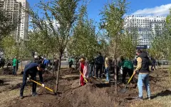 В Астане осенью высадят тысячи деревьев в рамках акции Таза Қазақстан