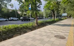 Зеленые буферные зоны появятся в Алмалинском районе Алматы