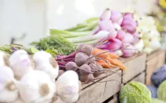 Экспорт агропродукции вырос более чем в 1,5 раза в Алматинской области