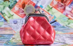 ЕНПФ расширит перечень финансовых инструментов для повышения доходности