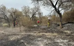 Пожар в нацпарке Алтын-Эмель охватил 45 гектаров территории