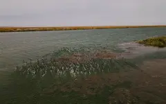 В Казахстане утвердили перечень рыбохозяйственных водоемов международного и республиканского значения