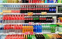 Новый завод в Алматинской области увеличит экспортный потенциал