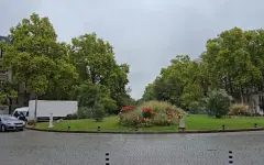 Тюльпаны из Казахстана зацветут в Париже
