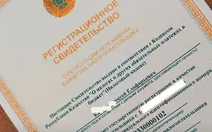 У сотен иностранцев отнимут казахстанский ИИН – названа причина
