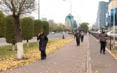 В Трудовой кодекс могут внести изменения по забастовкам
