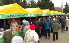 210 тонн сельхозпродукции реализовали на ярмарке в Кокшетау