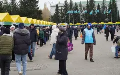 Фермерскую продукцию по сниженным ценам представили на сельскохозяйственной ярмарке в Кокшетау