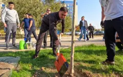 Аким Шымкента принял участие в посадке деревьев вместе с жителями