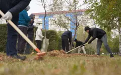 Сотрудники Генпрокуратуры приняли участие в общегородском субботнике