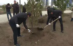 Около пяти тысяч саженцев высадили жители Семея