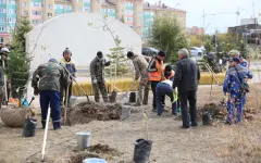В рамках акции «Таза Казахстан» в Актюбинской области высадили около 7300 саженцев