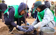 В Актюбинской области в рамках проекта Школьное лесничество высажено 1350 деревьев