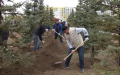 Депутаты Мажилиса поддержали экологическую акцию