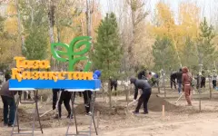 Партия AMANAT вышла на субботник