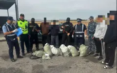 В Жамбылской области пресекли попытку перевозки крупной партии наркотиков