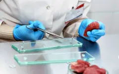 Более 8,9 тонны несоответствующей продукции выявлено с начала года в РК