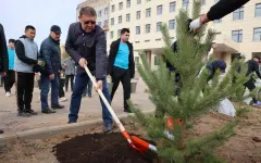 Чистота как образ жизни