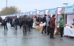 Продукцию на ₸129 млн реализовали на ярмарке в Талдыкоргане