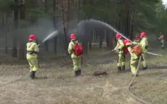 Лесники Казахстана отмечают профессиональный праздник
