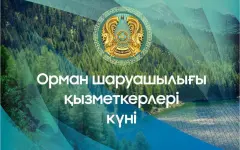 День работников лесного хозяйства отмечается в Казахстане
