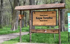 О новшествах при реконструкции рощи Баума рассказали в акимате