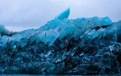 Ученые реанимировали древний организм, переживший ледниковый период