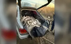 У браконьеров на Зайсане изъяли рыбу на ₸8 млн