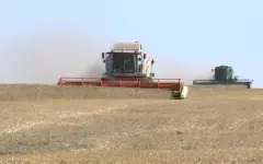 Уборочная кампания в Казахстане близится к завершению