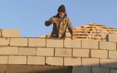 Новую модель развития аграрного сектора реализуют в Казахстане