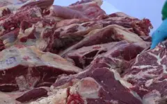 1205 тонн сельхозпродукции привезли на ярмарку в Петропавловске