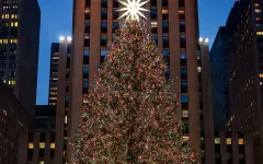 В США выбрали рождественскую елку
