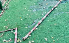 В Кокшетау на ребенка упали футбольные ворота