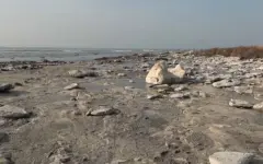 Как меняется уровень Каспийского моря