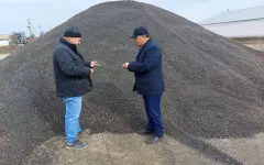 Масличные культуры требуют инвестиций