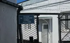 Таразская пленница: жениху и его дружкам грозит крупный штраф и тюремный срок