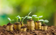 В Казахстане продолжается поэтапное погашение задолженности по субсидиям