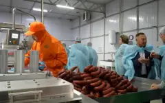 Агросектору области Абай нужна перезагрузка – сенаторы