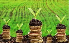 В Казахстане продолжается поэтапное погашение задолженности по субсидиям