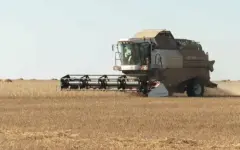 Более 700 миллионов долларов инвестируют в АПК Казахстана