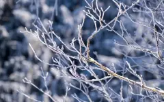 Какая погода ожидает жителей Астаны, Алматы и Шымкента в ближайшие три дня