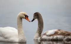 Гороскоп на воскресенье: день начнется спокойно, но завершится неожиданно