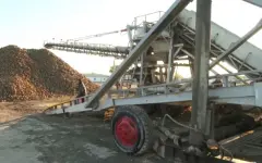 Казахстанские заводы приняли 225 тысяч тонн сахарной свёклы