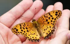 Гороскоп на 3 ноября: отпустите обиды