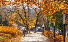 Зима скоро: популярный фотограф показал, как Алматы феерично прощается с осенью